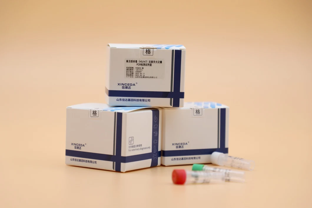 Real-Time PCR Detection Kit for African Swine Fever Virus