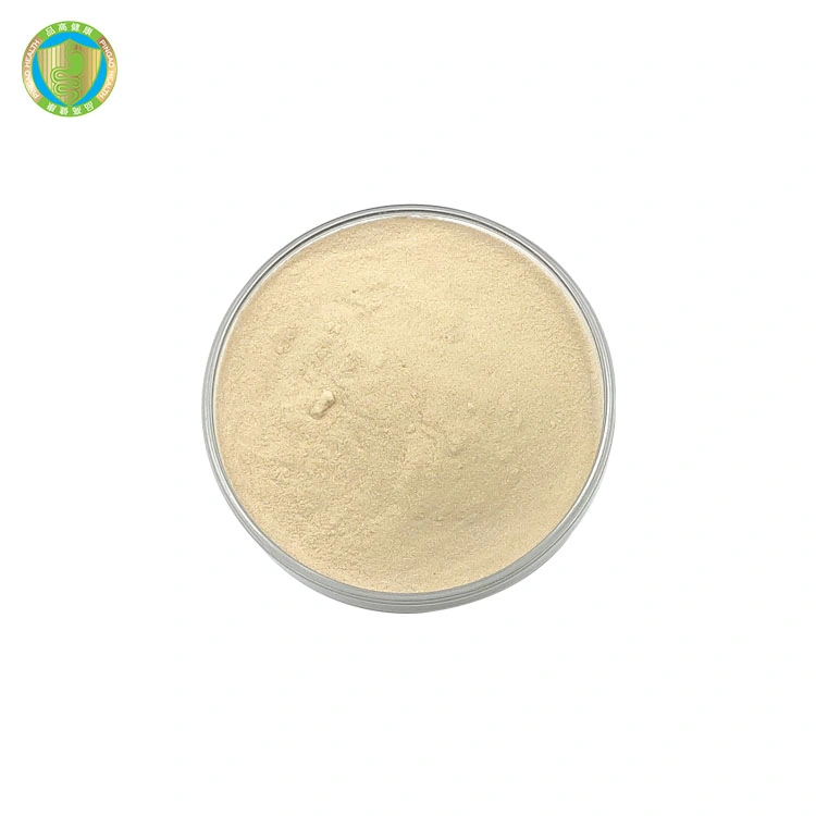 Wholesale Supply Feed Additive Feed Grade Bacillus Coagulans Probiotic Bacillus Coagulans