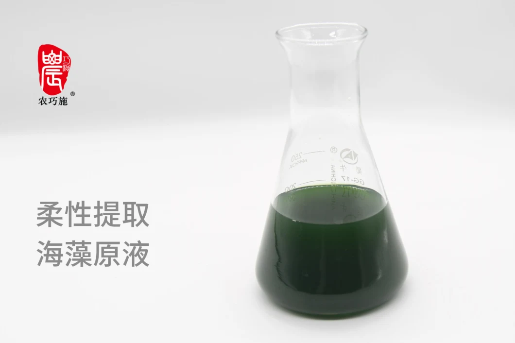 Seaweed Extract Fertilizer Help Product Healthy and High Quality Fruits