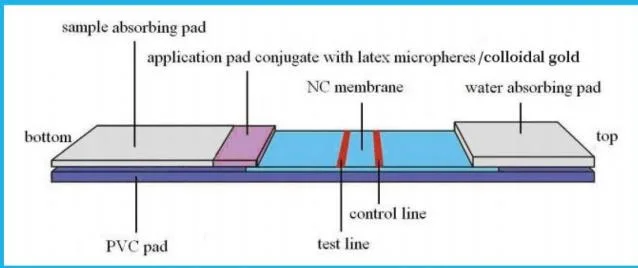 China Manufacturer Detection Medical Rapid Test Kit