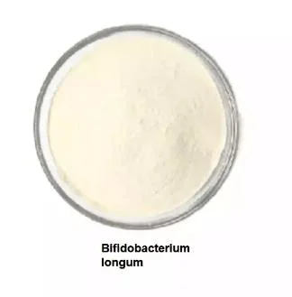 High Quality Improve Immune System Food Additive Probiotics Bifidobacterium Longum