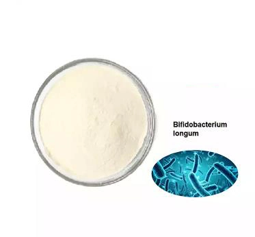 Food Grade Probiotics for in Gastrointestinal Healthcare Bifidobacterium Bifidum Longum